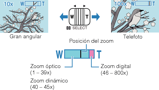 Push Zoom
