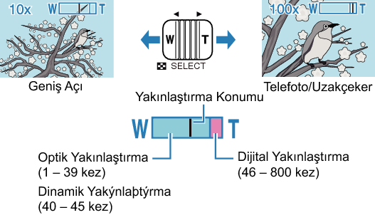 Push Zoom