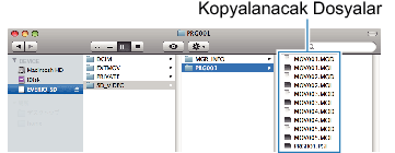 Copy files