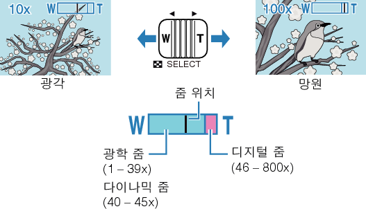 Push Zoom