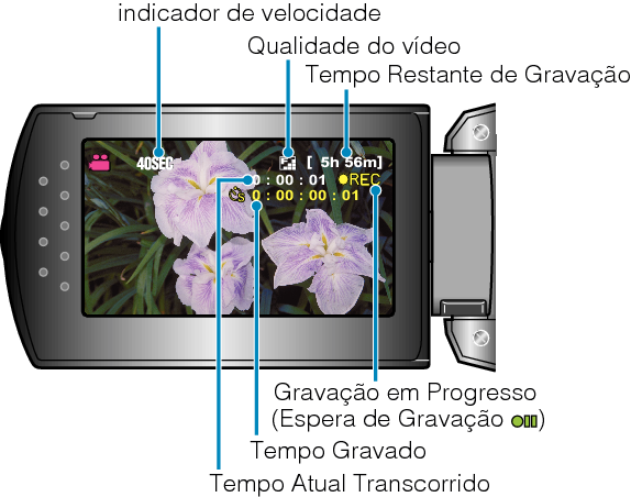 Indications During Time-Lapse Recording