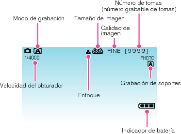 Indications during still image recording