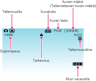 Indications during still image recording