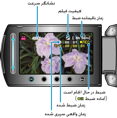 Indications During Time-Lapse Recording