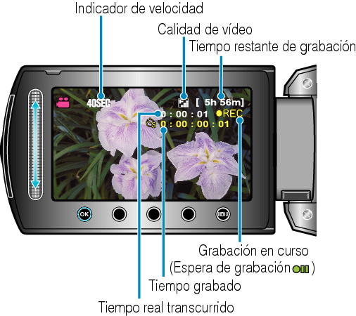 Indications During Time-Lapse Recording