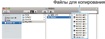 Copy files