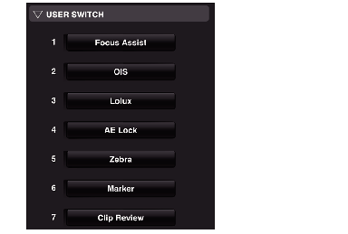 CamRemote_UseSW