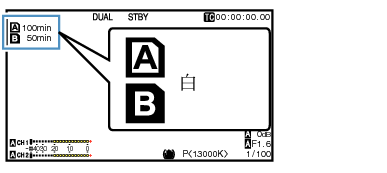 Dual_03