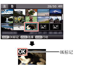 OK_Mark_01_660_620