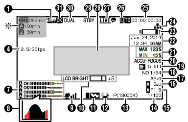 CamDisplay1_850