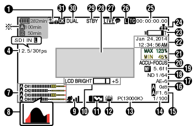 CamDisplay1_890