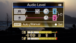 GY-LS300_AudioLevelScreen