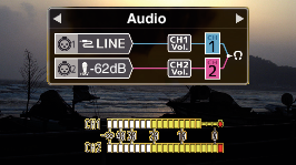 GY-LS300_AudioScreen