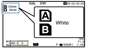 GY-LS300_Dual_03