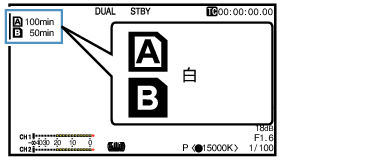 GY-LS300_Dual_03