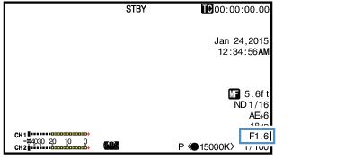 GY-LS300_ManualIris