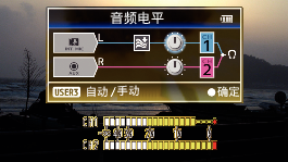 GY-HM200_AudioLevelScreen