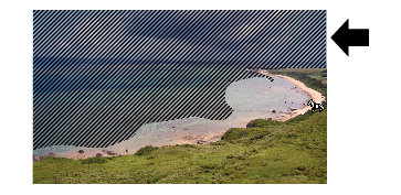 ZebraPattern_01_with_Icon
