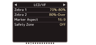 HC900_2_S-Screen_LCD_VF