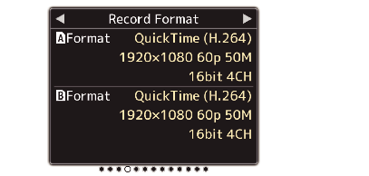 HC900_2_S-Screen_RecFormat