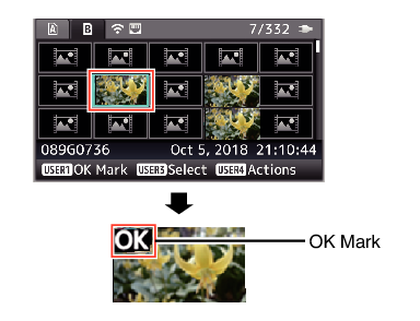 OK_Mark_01_900