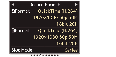 HC500_S-Screen_RecFormat