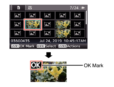 OK_Mark_01_500